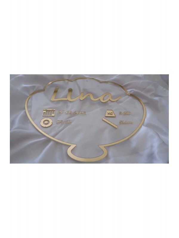 Unisex Pleksi Bebek Doğum Boy Kilo Panosu