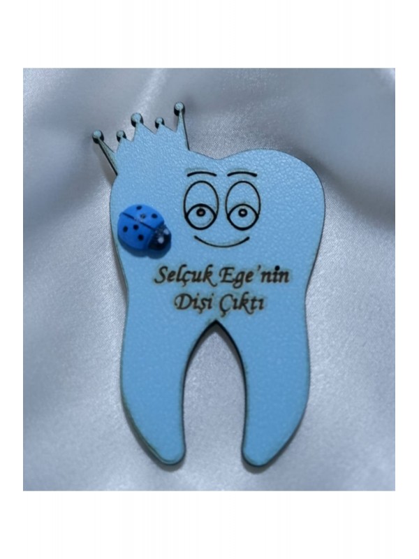 Diş Magneti&hellip;